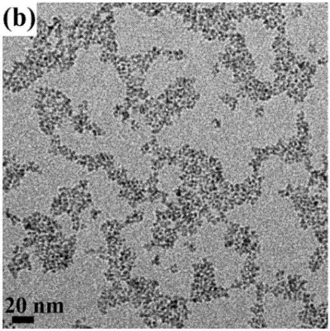 Copper ion-doped nickel oxide colloidal nano-crystal preparation method and product thereof, and applications of copper ion-doped nickel oxide colloidal nano-crystal