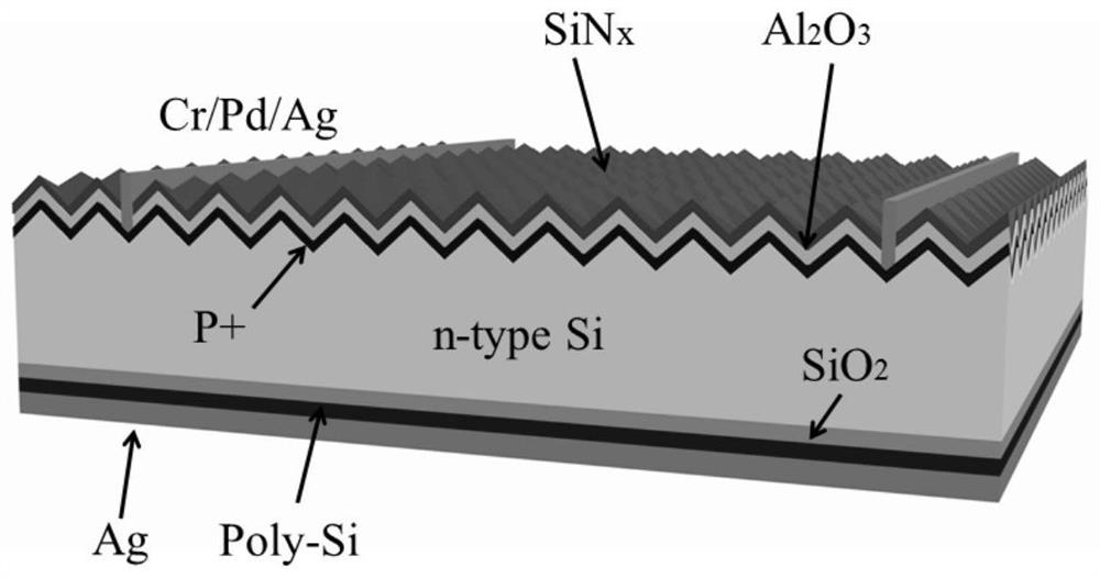 Rapid Annealing Method for Fabricating Tunneling Oxygen Passivation Contact Structure