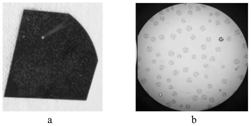 Rapid Annealing Method for Fabricating Tunneling Oxygen Passivation Contact Structure