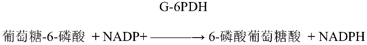 Phosphocreatine kinase isoenzyme detection kit