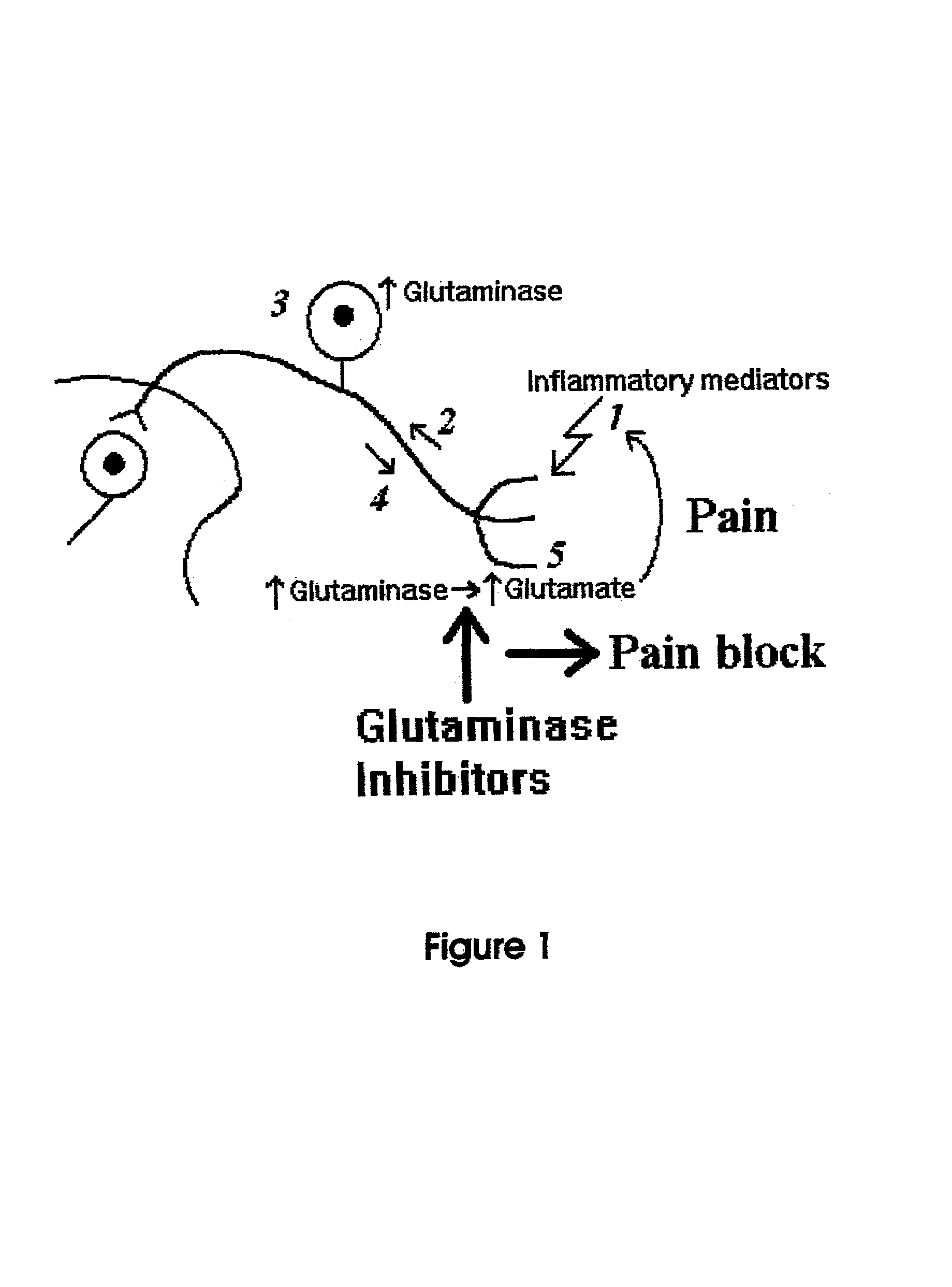 Method of alleviating chronic pain via peripheral glutaminase regulation