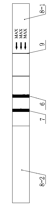 Immune chromatography test paper for quantitative determination of clenbuterol based on up-conversion fluorescent nanoparticle label and preparation method thereof