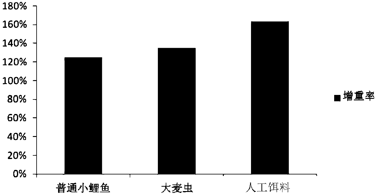 Artificial bait for growing period of dragonfish and preparation method and application of artificial baits