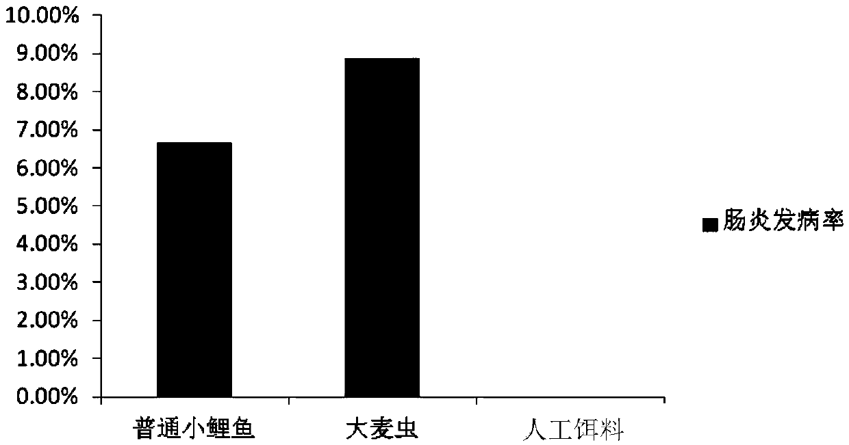 Artificial bait for growing period of dragonfish and preparation method and application of artificial baits