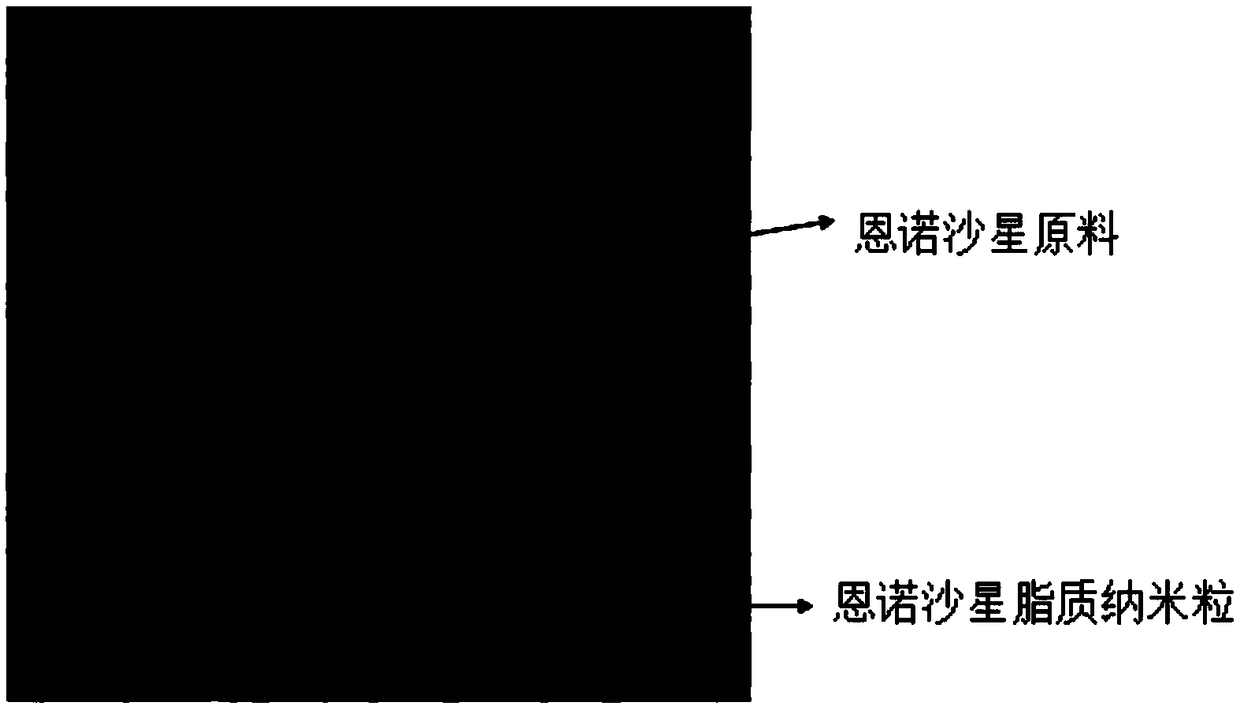 Veterinary enrofloxacin taste-masking sustained-release granule and preparation method thereof