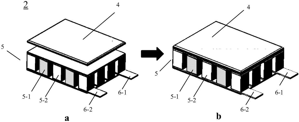 Carrying device