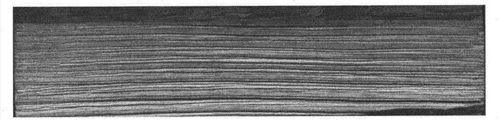 Pretreatment method used before processing fast growing wood surface concave-convex textures