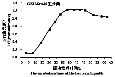 Stenotrophomonas maltophilia strain and application thereof