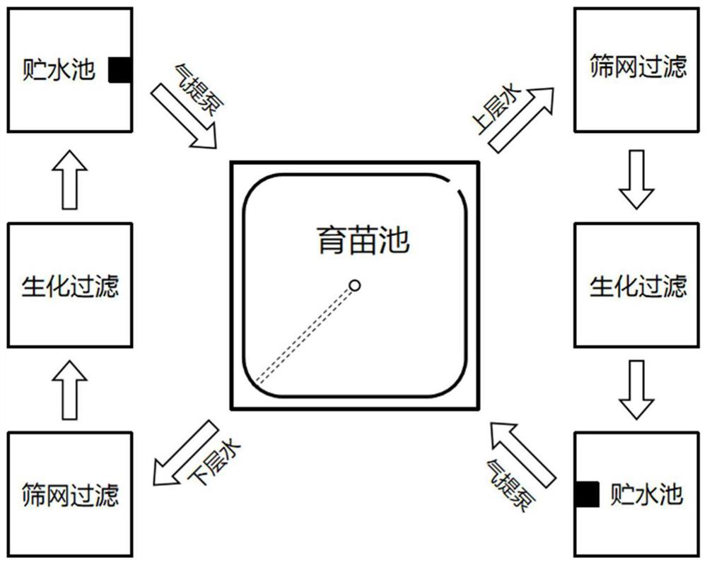 Equipment for high-density cultivation of high-quality rare fish fries and construction method