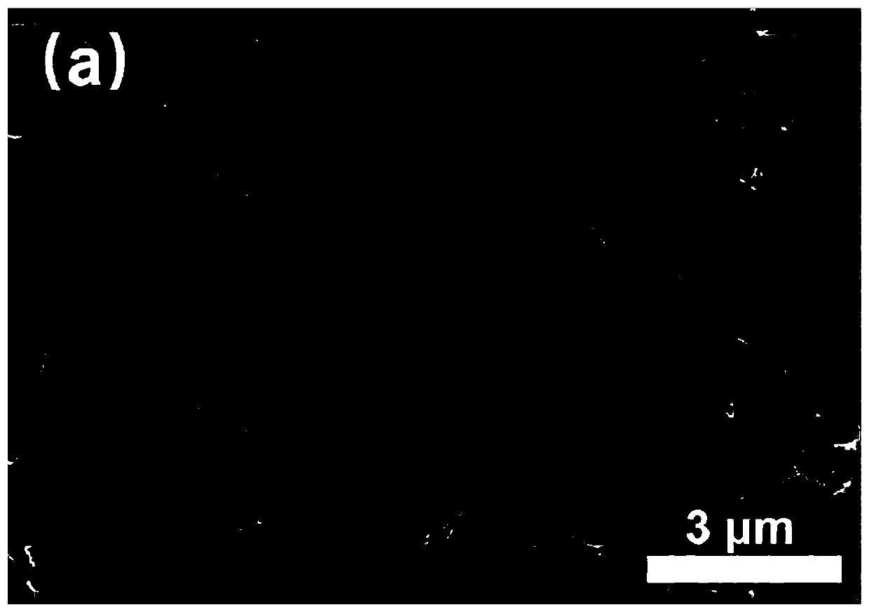 Method for purifying and separating bacterial cellulose