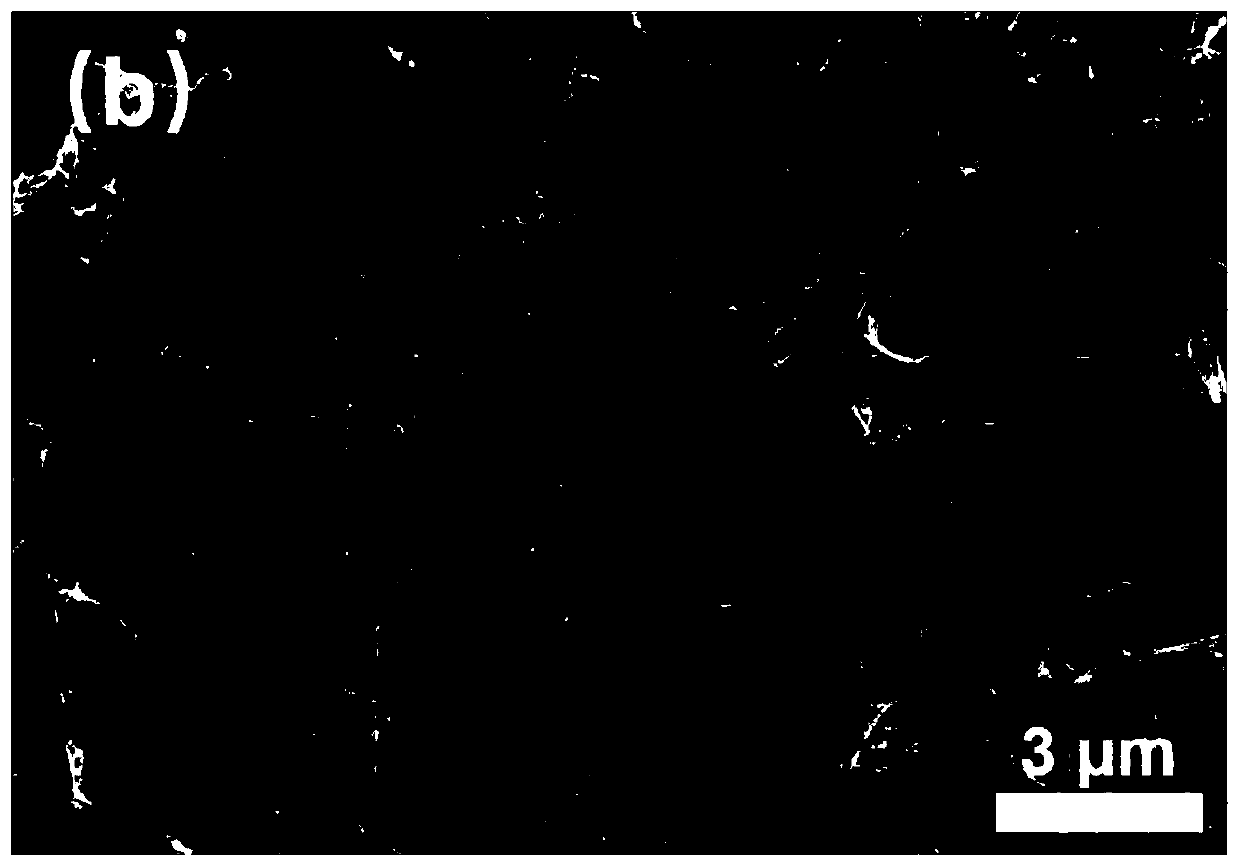 Method for purifying and separating bacterial cellulose