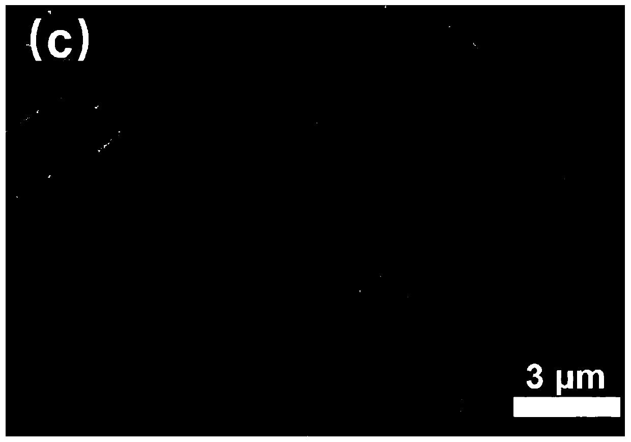 Method for purifying and separating bacterial cellulose