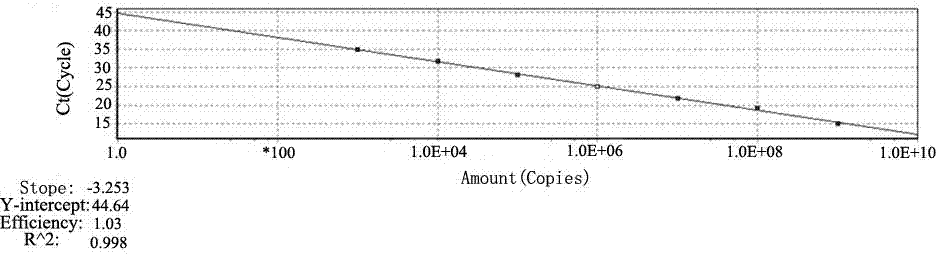 Real-time fluorescent quantitative PCR detection primer used for mycoplasma capricolum subsp.capripneumonia