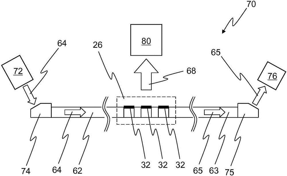 Fluorescence-detected assays on microfluidic chips