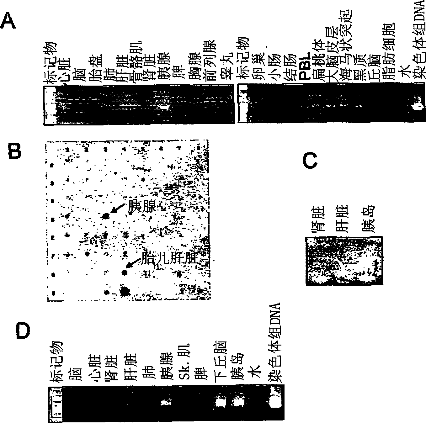 Fused-aryl and heteroaryl derivatives as modulators of metabolism and the prophylaxis and treatment of disorders related thereto