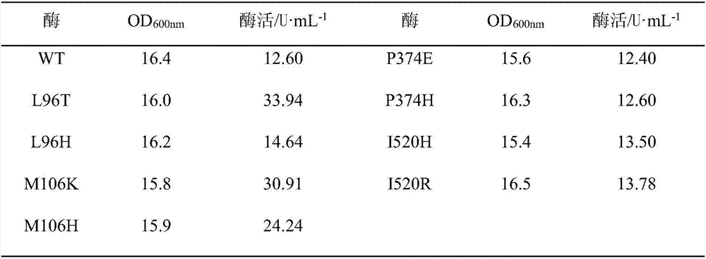 Preparation and application of maltooligosyltrehalose synthase mutant