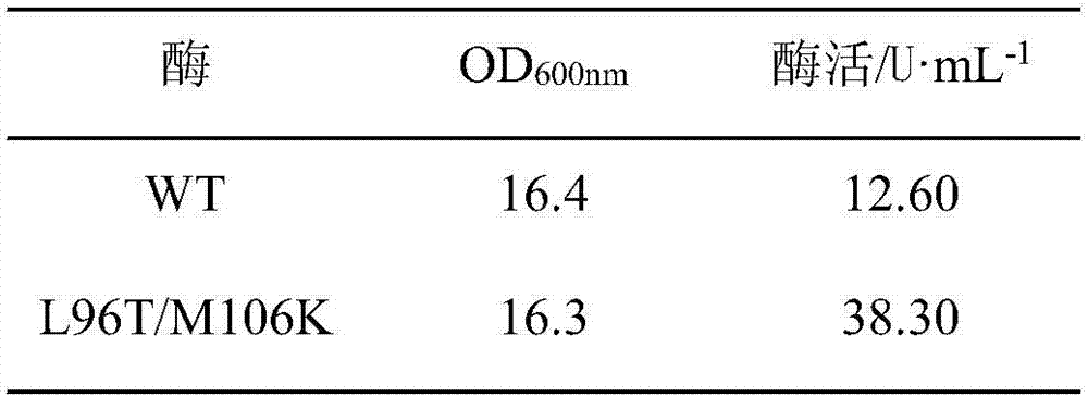 Preparation and application of maltooligosyltrehalose synthase mutant