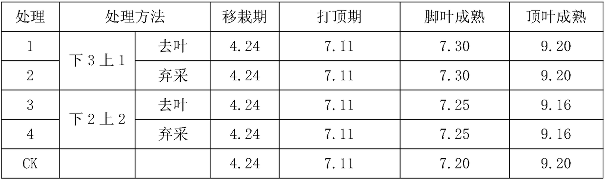 A control method for improving the quality of finished tobacco leaves based on leaf position characteristics