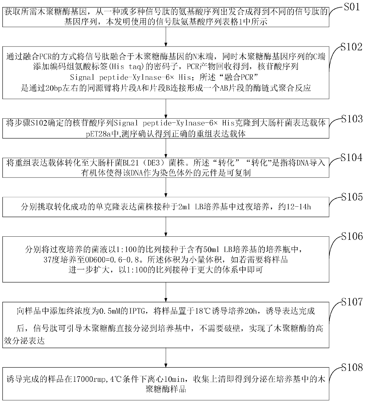 New method for xylanase secretory expression in escherichia coli