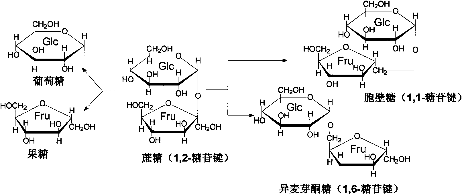 Method for producing isomaltulose without purification step