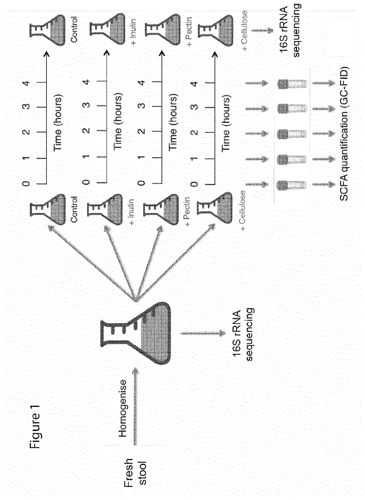 Predicting The Response Of A Microbiota To Dietary Fibers