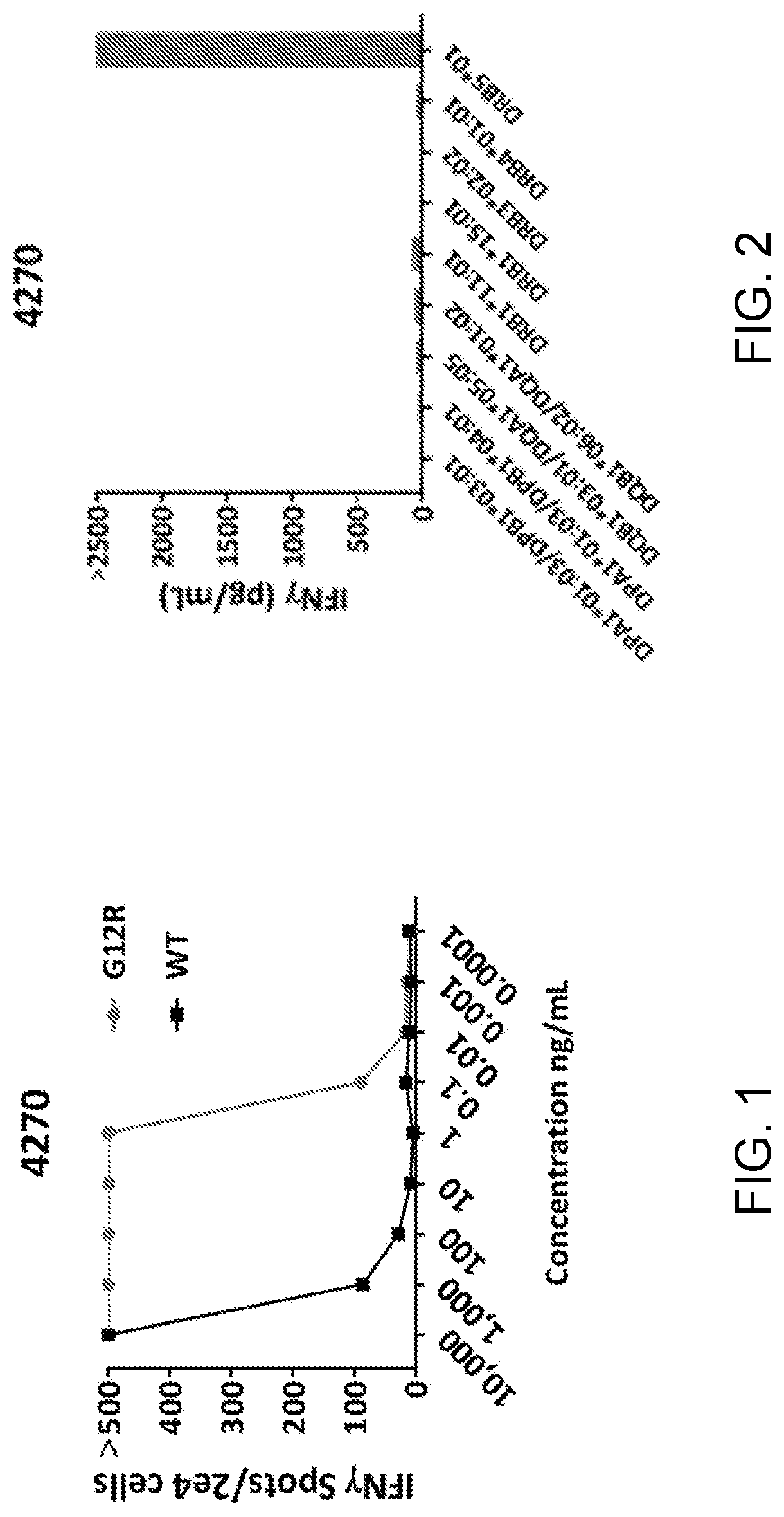 HLA class ii-restricted t cell receptors against ras with g12r mutation