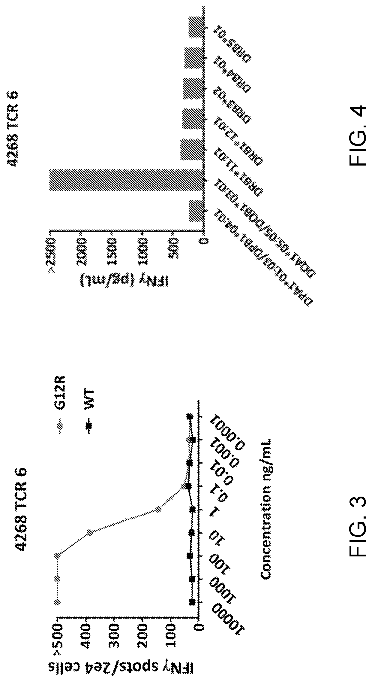 HLA class ii-restricted t cell receptors against ras with g12r mutation