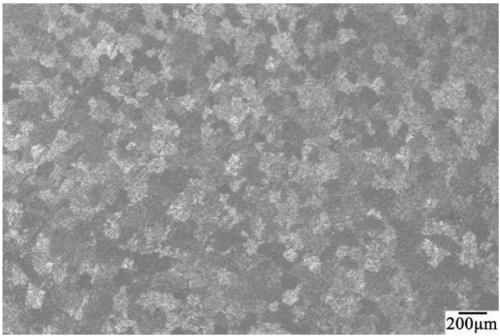 Vanadium-containing magnesium master alloy grain refiner and its preparation method and application