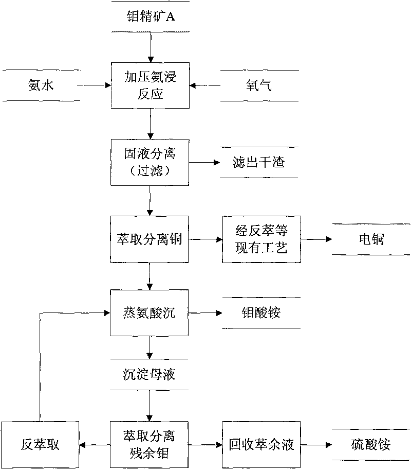 Method for extracting ammonium molybdate from molybdenum concentrate through pressure ammonia leaching