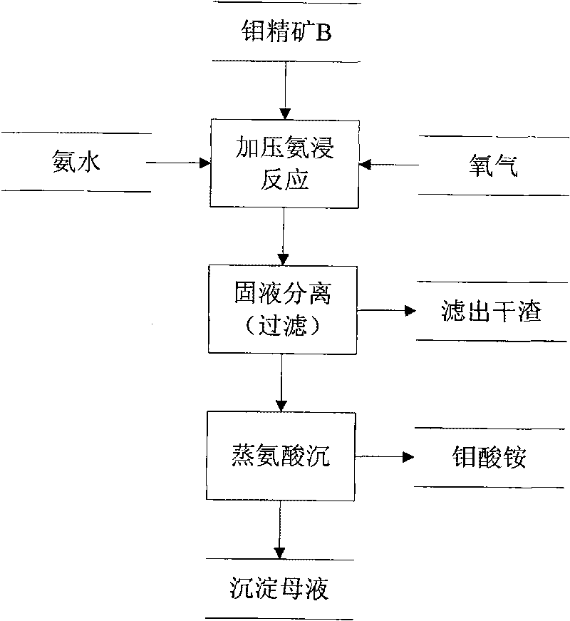 Method for extracting ammonium molybdate from molybdenum concentrate through pressure ammonia leaching