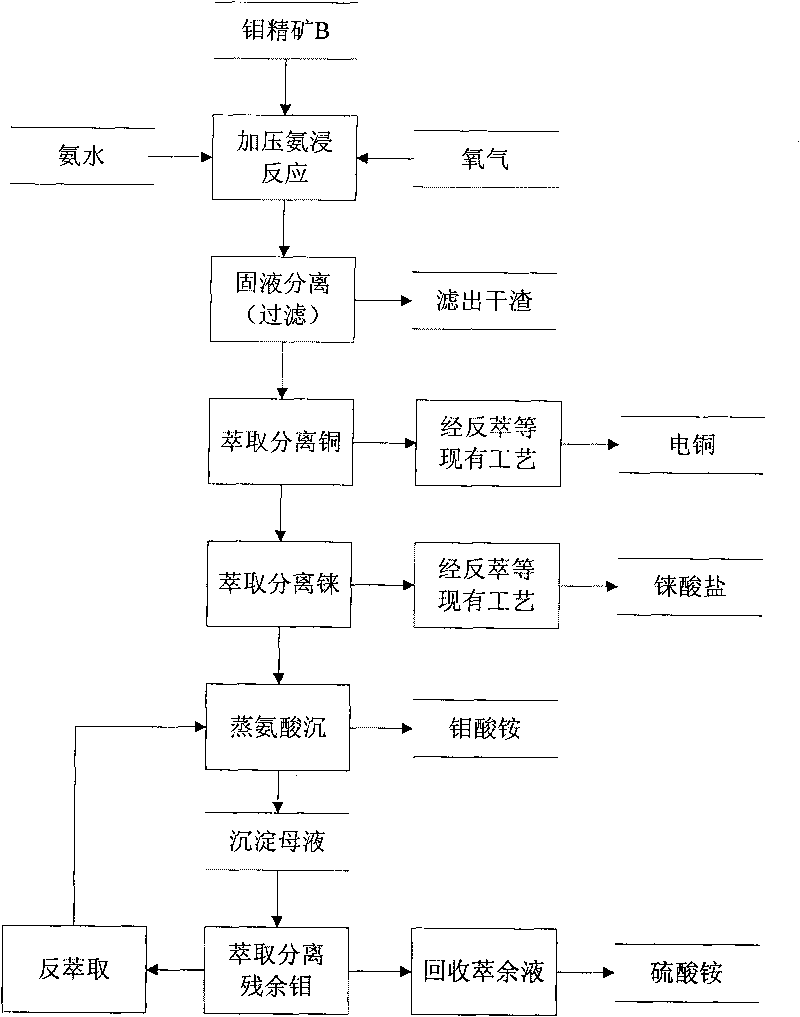 Method for extracting ammonium molybdate from molybdenum concentrate through pressure ammonia leaching