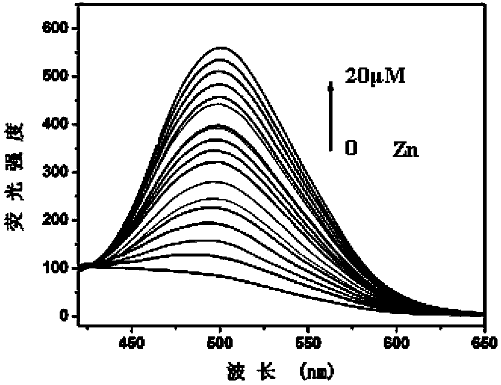 Fluorescence molecular probe for detecting zinc ions and preparation method thereof