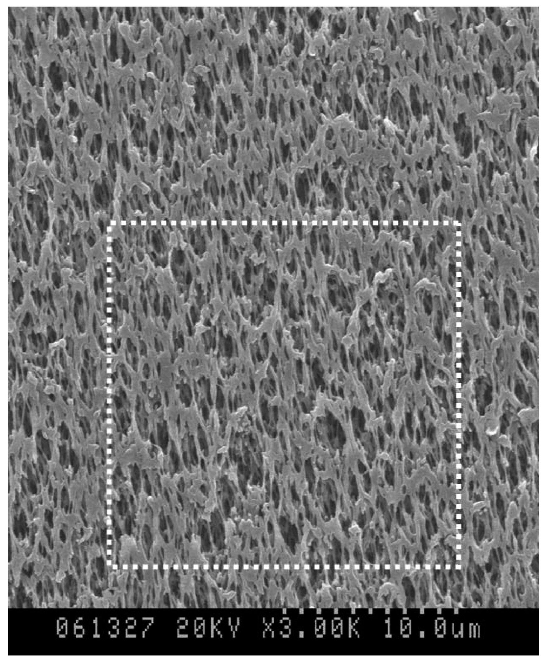 Hollow-fiber membrane and process for production of hollow-fiber membrane