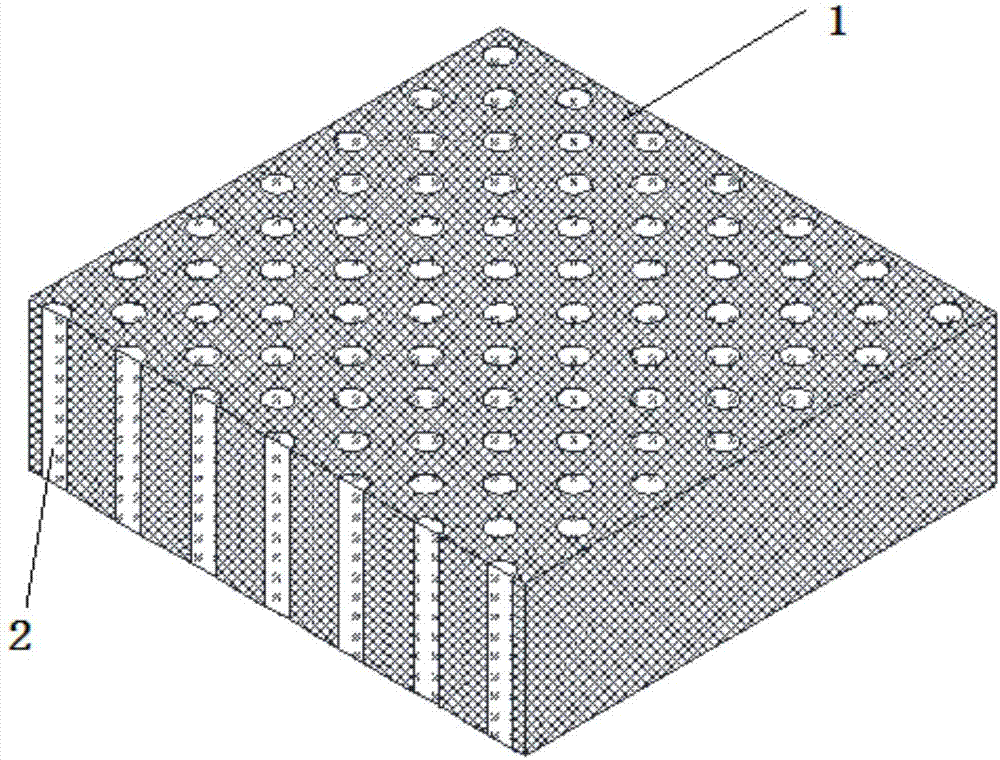 Solid light microchannel array panel and preparation method thereof