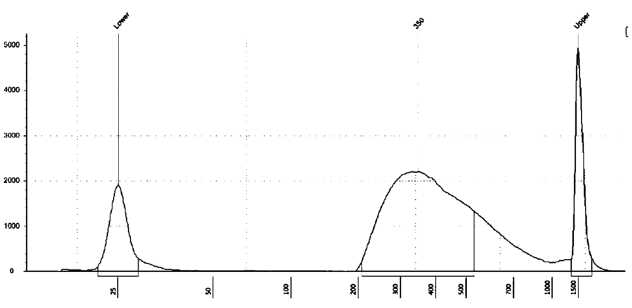 Construction method for human single cell mitochondrial high-throughput sequencing library and kit for library construction