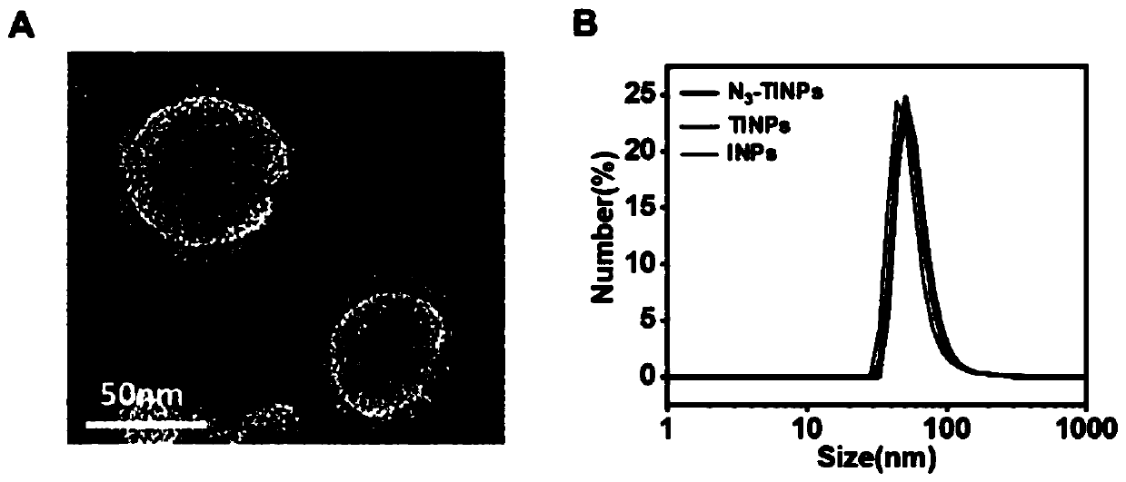 Biologically orthogonal targeted cytomembrane biomimetic nanoparticle and preparation method and application thereof