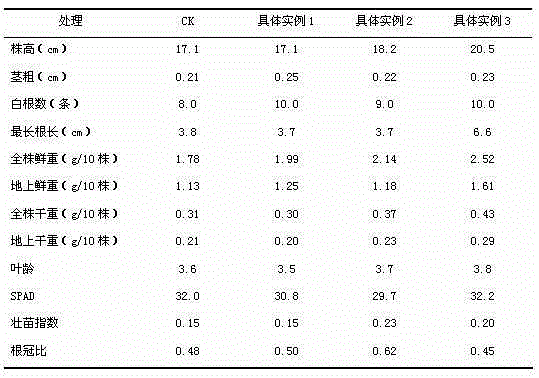 Rice dry seedling raising substrate and production method thereof