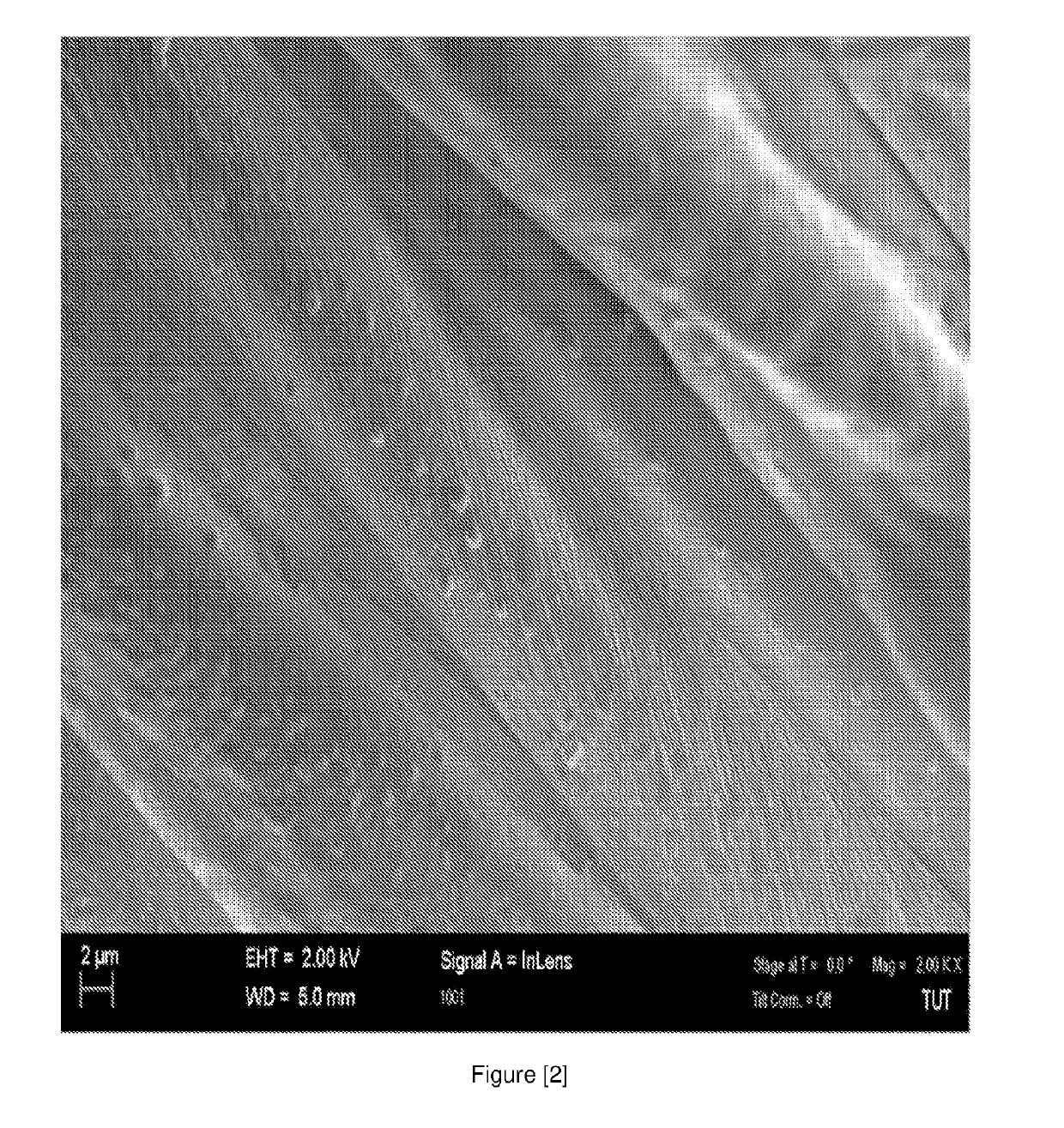 Process for producing fibrous material with antimicrobial properties