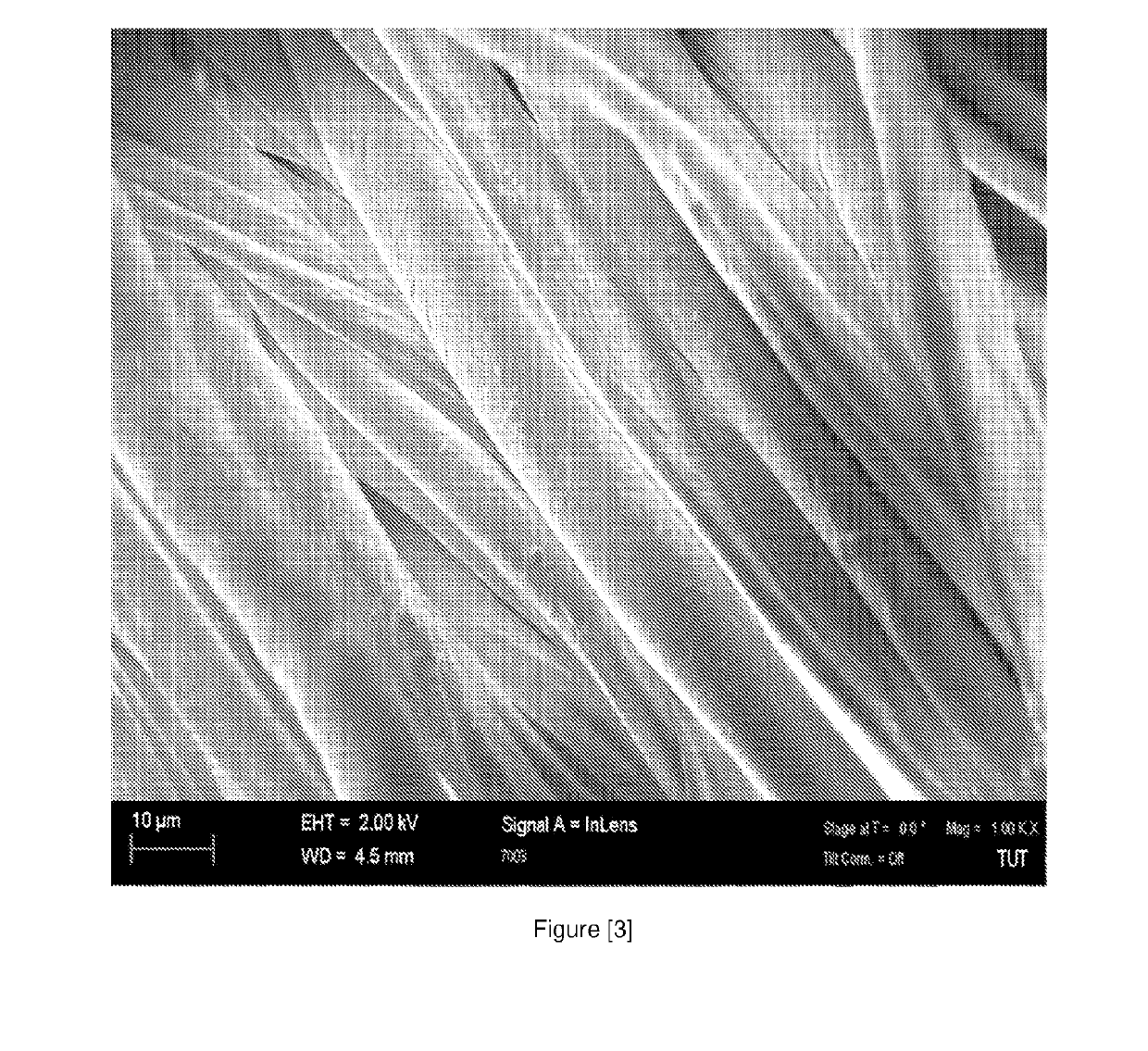 Process for producing fibrous material with antimicrobial properties