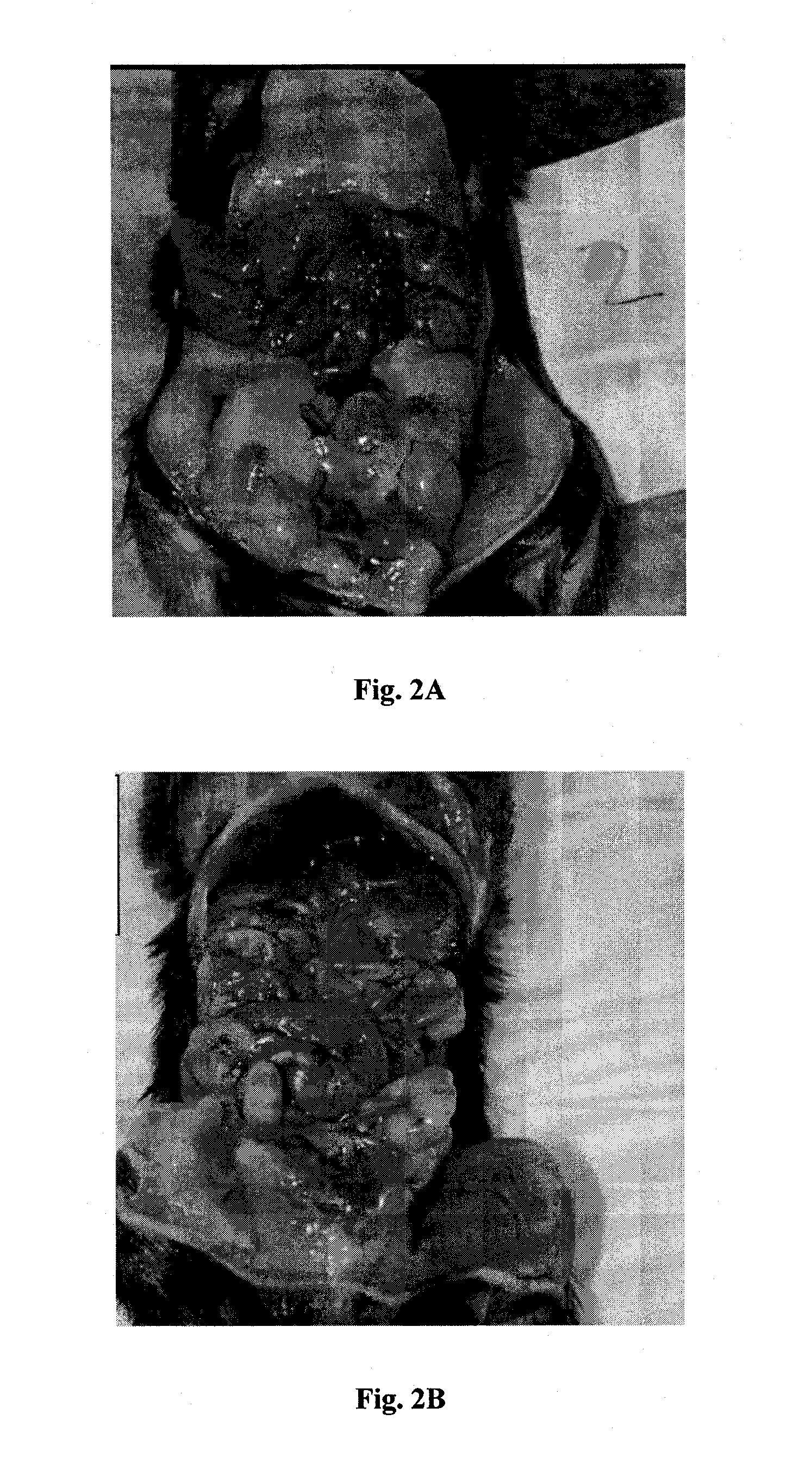 Tricyclic compounds, compositions comprising them and uses thereof