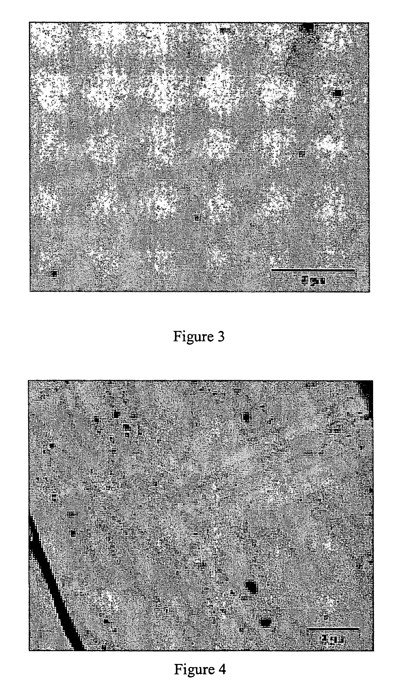 RFL film or adhesive dip coating comprising carbon nanotubes and yarn comprising such a coating