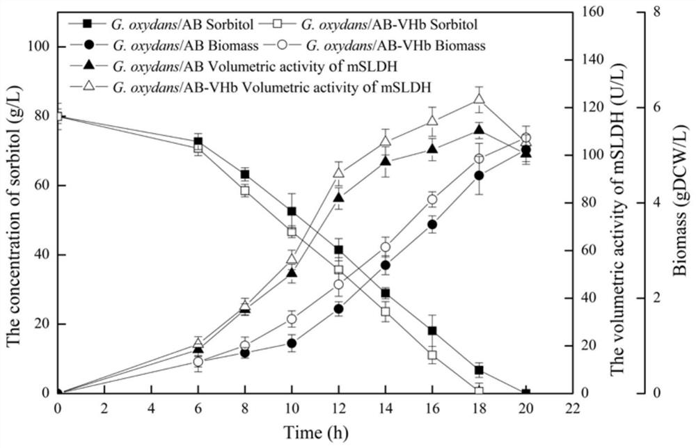 Recombinant gluconobacter oxydans engineering bacterium and use thereof in synthesis of miglitol intermediate