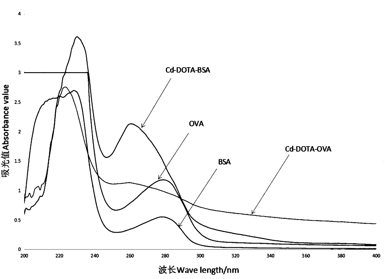 Preparation method of heavy metal cadmium artificial antigen and application of DOTA in preparation of heavy metal cadmium artificial antigen reagent