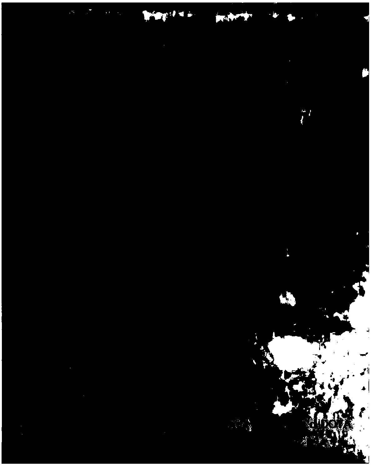 Preparation method of heavy metal cadmium artificial antigen and application of DOTA in preparation of heavy metal cadmium artificial antigen reagent