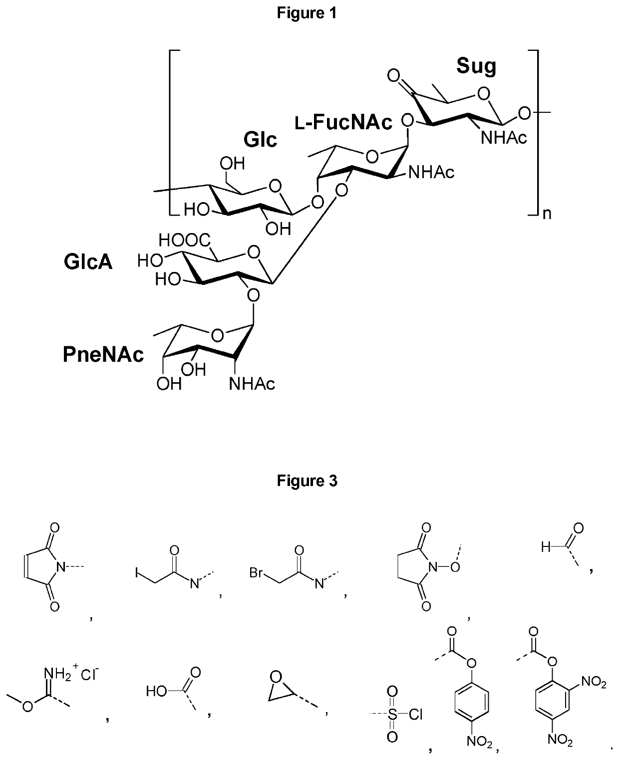 Vaccines against <i>Streptococcus pneumoniae </i>serotype 5