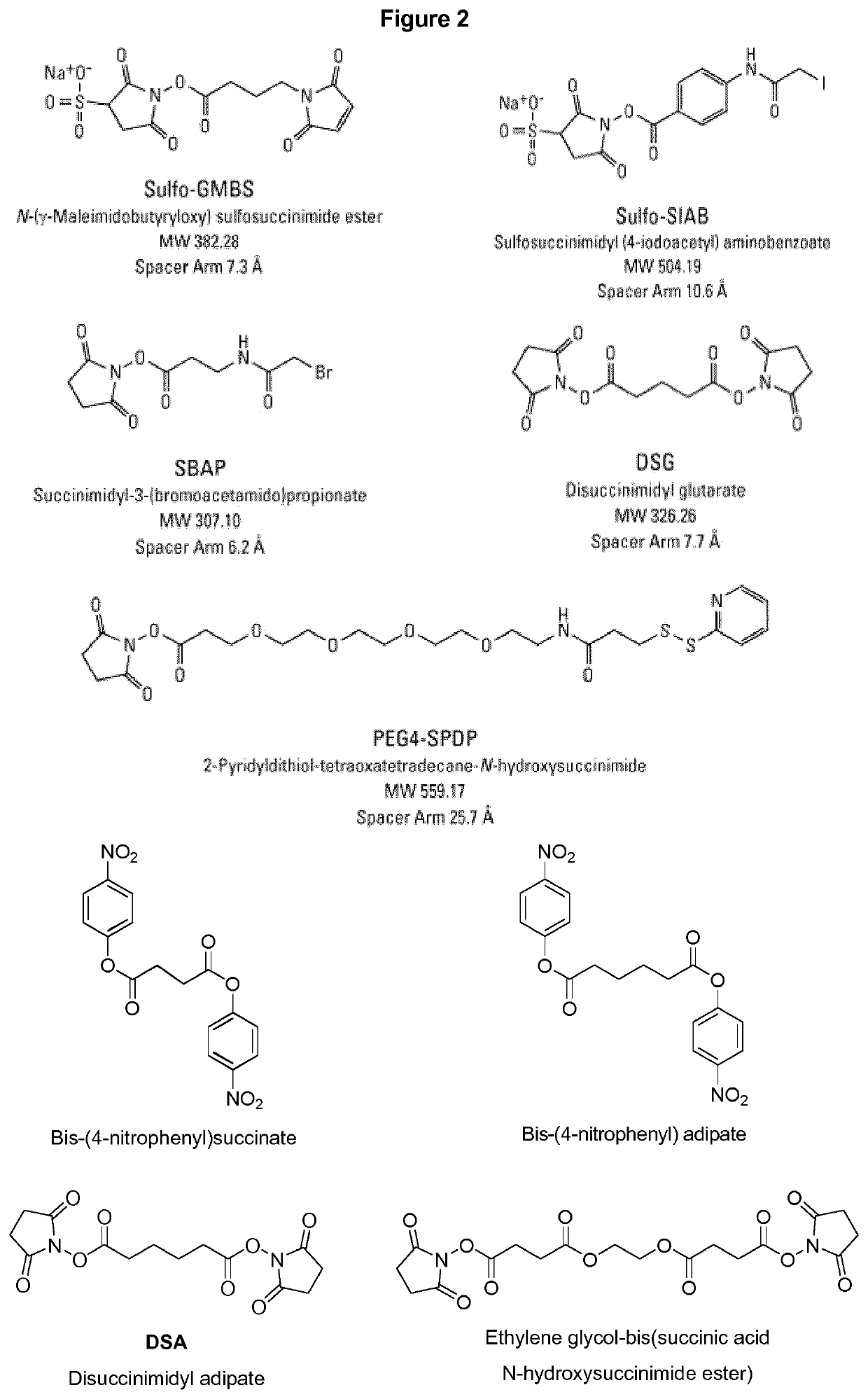 Vaccines against <i>Streptococcus pneumoniae </i>serotype 5