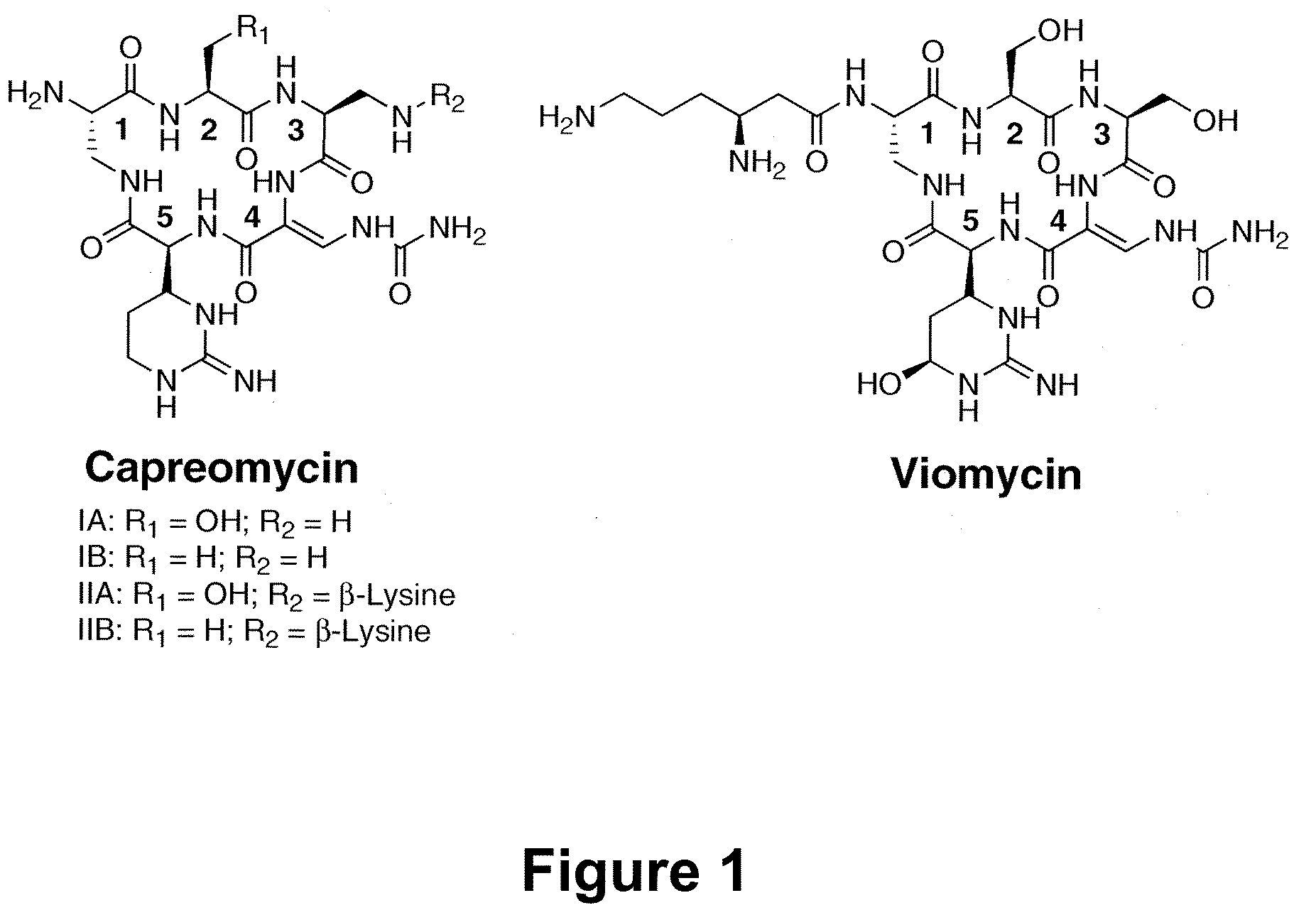 Heterologous Production of Capreomycin and Generation of New Capreomycin Derivatives Through Metabolic Engineering