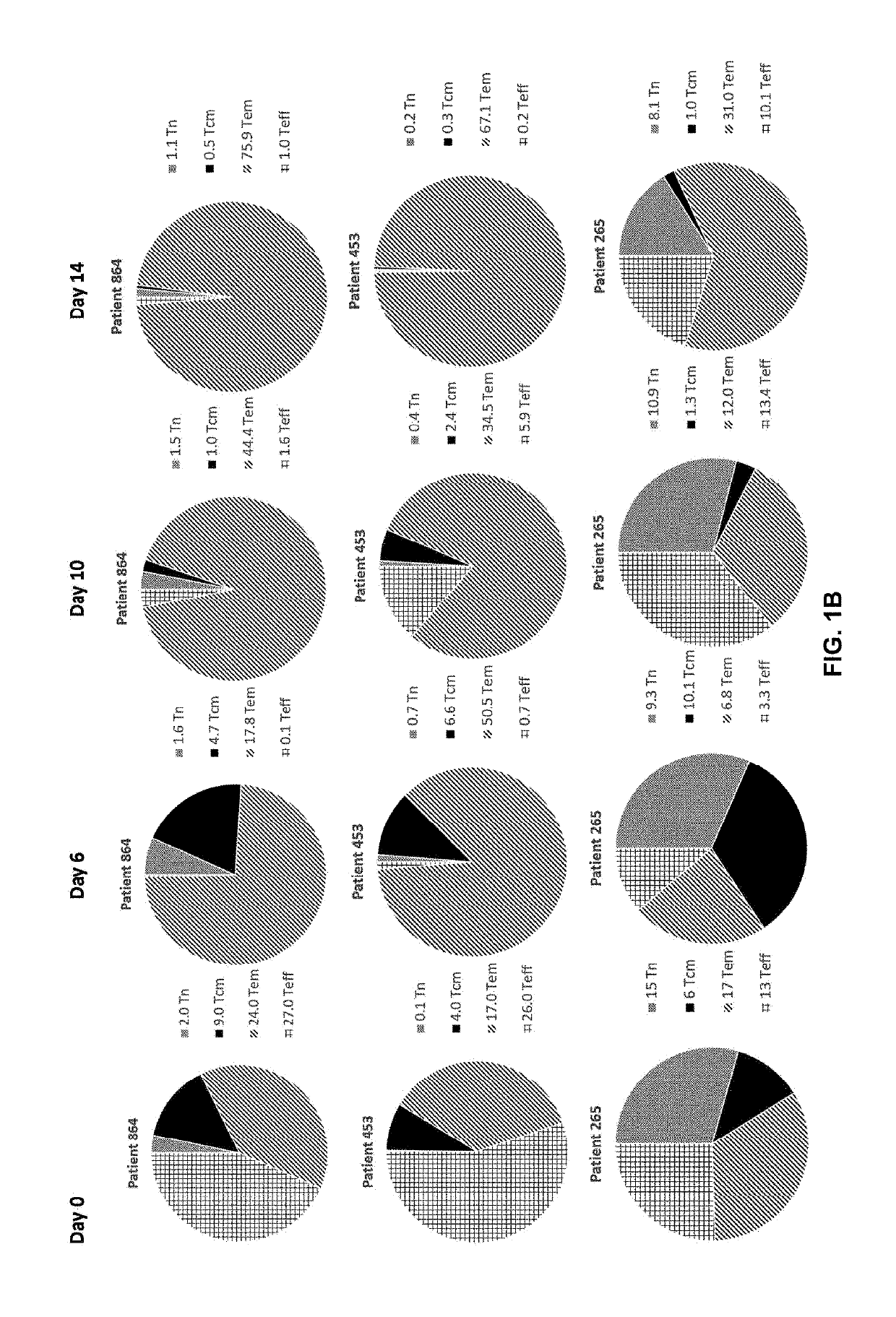 Methods for manufacturing t cells