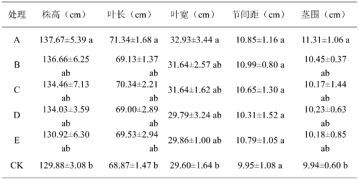 Biopesticide composition for tobacco bacterial leaf blight