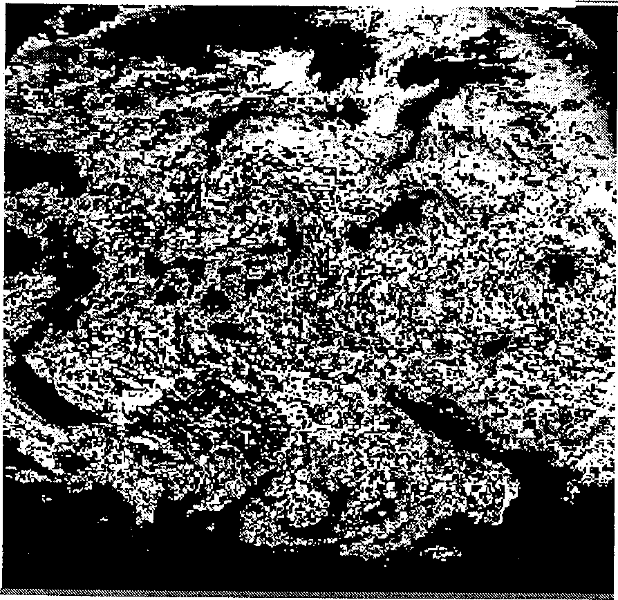 Typhoon center positioning method based on embedded type concealed Markov model and cross entropy